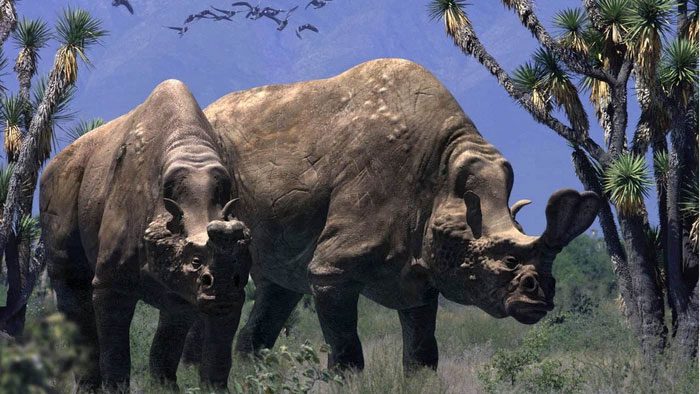 Embolotherium lived during the late Eocene epoch in East Asia.