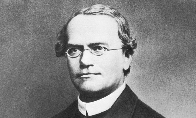 Gregor Mendel