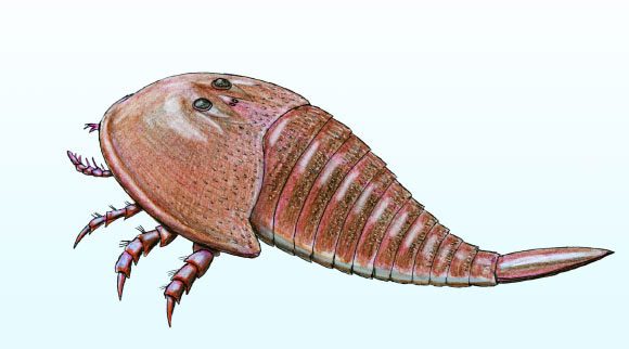 Reconstructed image of the creature