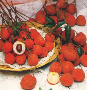 Lychee