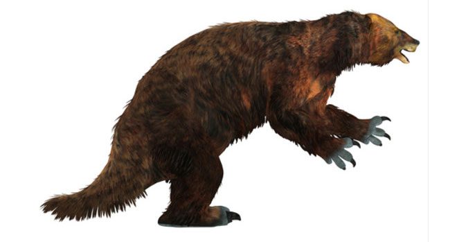 Megatherium Americanum can grow up to 6 meters long and weigh around 4 tons.