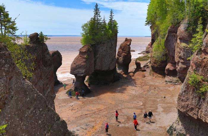 Tourists walking on the beach at low tide at Hopewell Rocks in New Brunswick