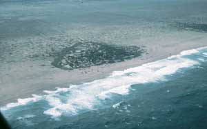 The sea area from Quang Ngai to Phan Rang