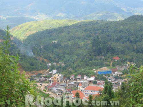 Sapa15