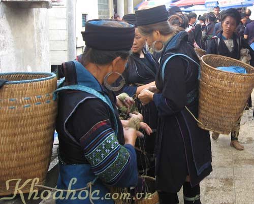 Sapa people26