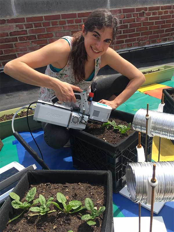 BIG GRO can create a more plant-friendly environment on rooftops.