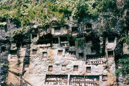 Toraja funeral statues overlooking the fields and villages of the living.