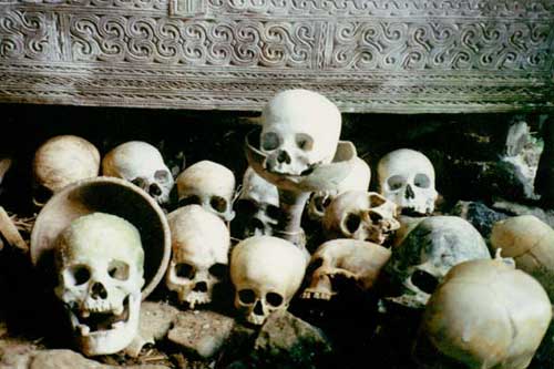 Human skull in 