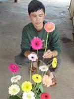 Anh Tuan and some newly bred gerbera daisies