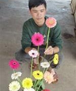a farmer successfully created 20 new flower varieties 6559
