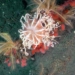 a shocking discovery below binh duong coast 6599
