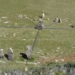 adam calendar address cu thach 300 000 years considered the oldest coal in the world 124993