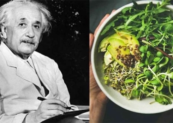 albert einsteins standard meal what is special 125554