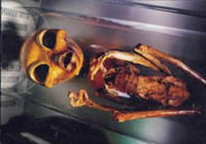 alien18