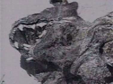 alien20