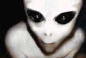 alien22