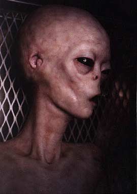 alien24