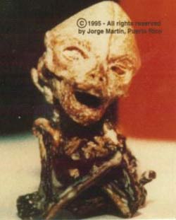 alien27
