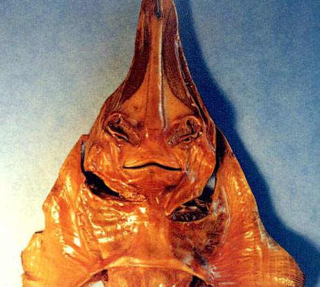 alien28