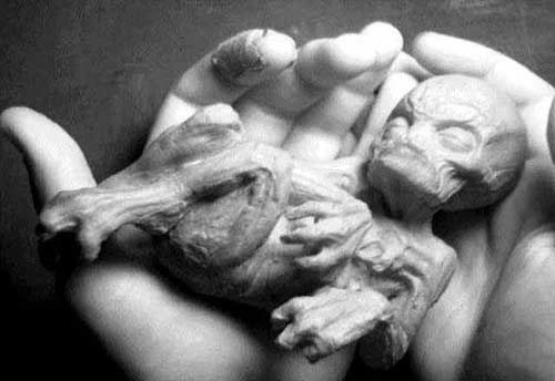 alien6
