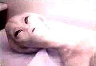 alien8