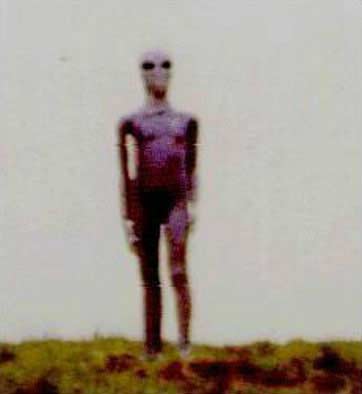 alien9