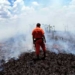 amazon rainforest at risk of becoming savanna 7321
