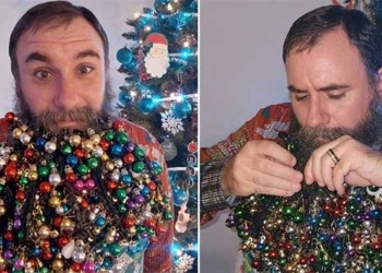 american man breaks world records by hanging christmas decorations on vegetables 124881