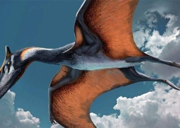 ancient dragons developed ability to fly how 125875