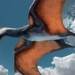 ancient dragons developed ability to fly how 125875