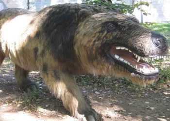 andrewsarchus one of the most terrifying carnivorous animals to ever exist 124963