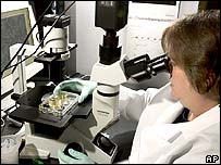 Scientists say stem cell research can help cure rare diseases