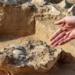 archaeologists find 4 000 year old egg on desert sand 125304