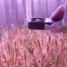 artificial flower craft in container 124987