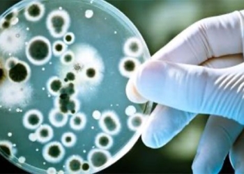 artificial intelligence discovers miraculous antibiotics that have never existed 126180