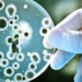 artificial intelligence discovers miraculous antibiotics that have never existed 126180