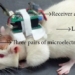 artificial intelligence integrated with the sense of smell of mice 126742
