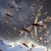 attendance 5 largest bird species in the animal world 125034