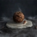 australian company creates meatballs from extinct woolly mammoth 126616