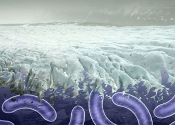 awakening virus 48 500 years old sleeping for unexpected reasons 124354