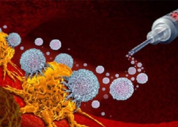 bacteria entering tumor help activate immune system against cancer 126535