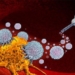 bacteria entering tumor help activate immune system against cancer 126535