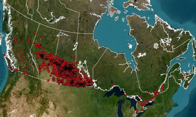 Map of super pig sightings in Canada.