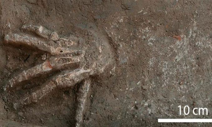A hand buried during the Hyksos period.