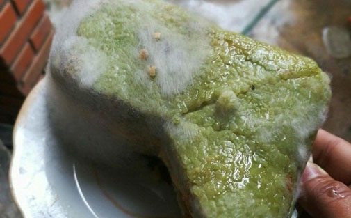 Moldy bánh chưng left too long after Tet poses many health risks.