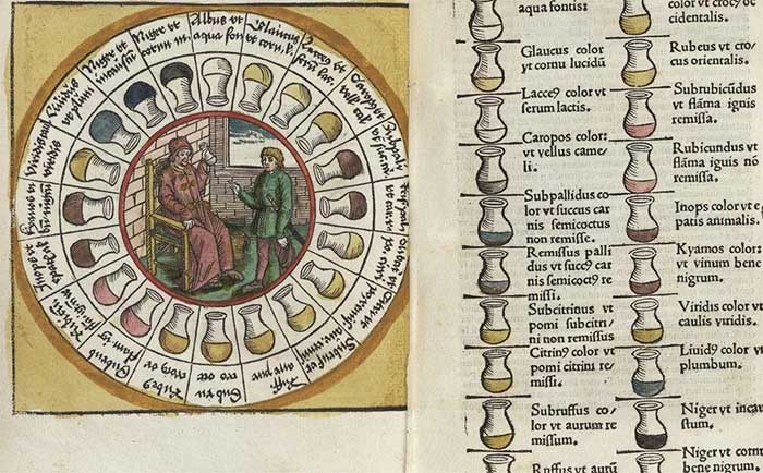 Urine Wheel