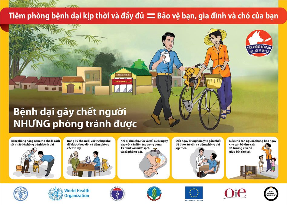 Rabies Awareness Poster
