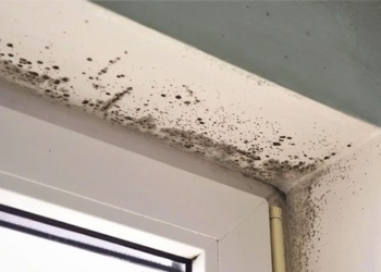 beware of dangerous foes appearing everywhere when humid weather lingers 125689
