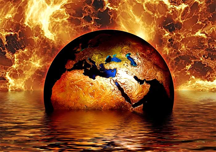 Climate change could wipe out over 25% of the world's plant and animal species