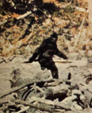 Bigfoot